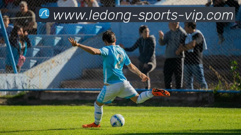 乐动体育APP 封面图